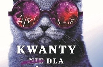 Ciemny kot w okrągłych okularach