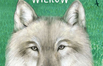 Na zielonym tle narysowana głowa wilka