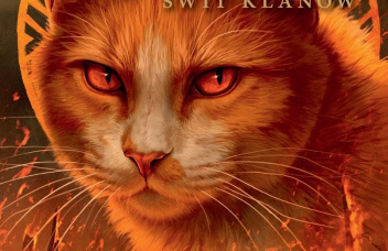 Na czarnym tle pomarańczowa głowa kota