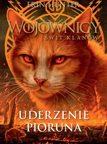 Na czarnym tle pomarańczowa głowa kota