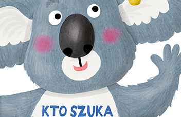 miś koala